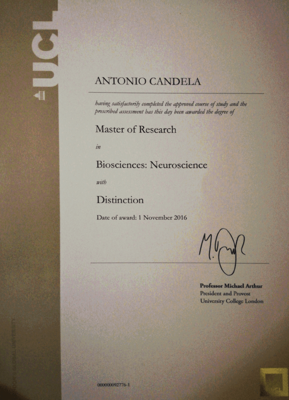 certificato UCL master in neuroscience